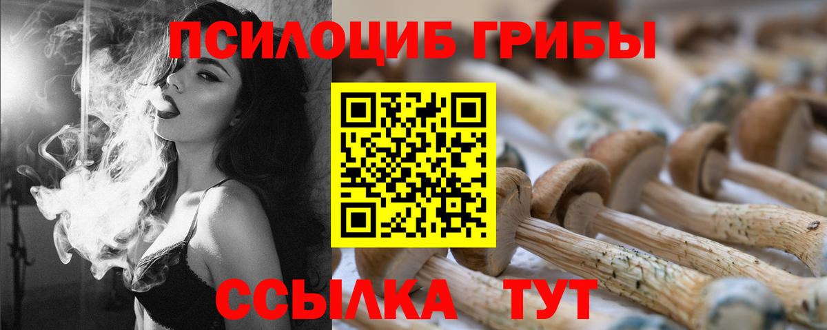 Галлюциногенные грибы прущие грибы Киселёвск